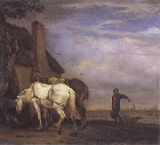 POTTER, Paulus Two Drafthorses in Front of a Cottage (mk05) oil painting